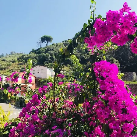 Appartamento Le Conchiglie Monterosso al Mare