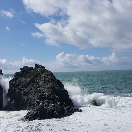 公寓 Le Conchiglie 蒙特罗索阿尔马雷