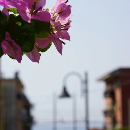Le Conchiglie * Monterosso al Mare